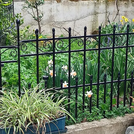 Apartman Lilium *